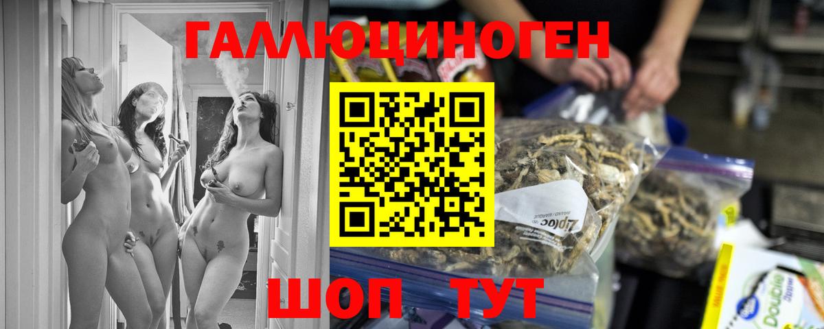 купить наркотики сайты  Вход с VPN  Галлюциногенные грибы прущие грибы  Зеленокумск  Псилоцибиновые грибы MAGIC MUSHROOMS 